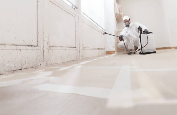 24/7 Emergency Mold Cleanup experts in Springfield, OR